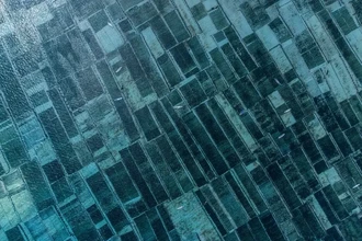 Морские водоросли как спасение от голода в случае ядерной зимы