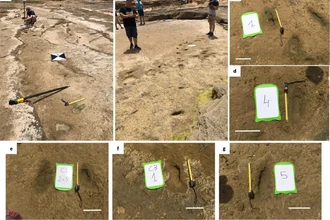 Древние следы в Марокко: Homo sapiens ходили здесь 90 000 лет назад