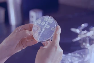 Грибковые инфекции убивают 3,8 млн человек в год: новая угроза здравоохранению