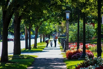 Парки вместо витаминов: как зелень укрепляет детские кости