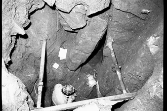 Самый древний случай синдрома Дауна: как генетика изучает людей прошлого