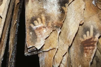 Почему на древних наскальных отпечатках рук часто не хватает пальцев?