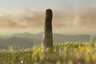 Прототакситы: вымершая ветвь жизни, непохожая ни на что