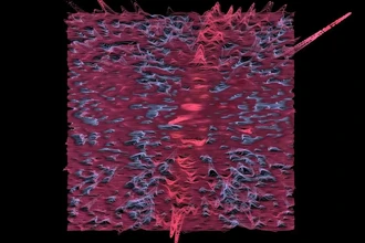 Как мозг отличает реальное движение от мысленного: открытие нейробиологов