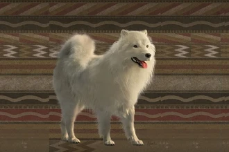 Вымершая шерстистая собака: как её шерсть создавала ценные одеяла Америки