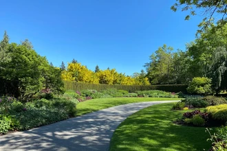 Жизнь среди зелени замедляет старение ваших клеток