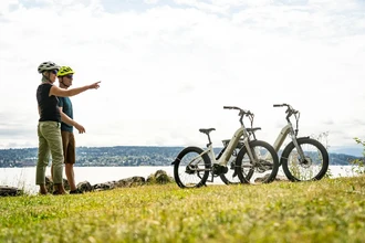 Электровелосипеды экономят в 4 раза больше нефти, чем все электромобили мира