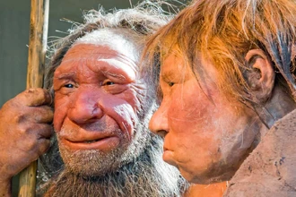 Неандертальское наследство: почему некоторые люди так остро чувствуют боль