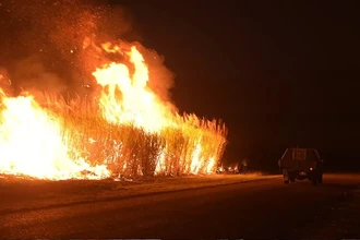 Южное полушарие ждет рекордная жара: почему лето 2024 будет экстремальным?