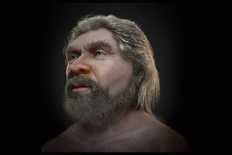 Лицо неандертальца: учёные восстановили облик древнего человека, умершего 50 000 лет назад