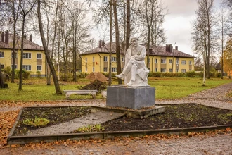 В парке города Дно высадили 2000 кустарников: как преобразилась зона отдыха