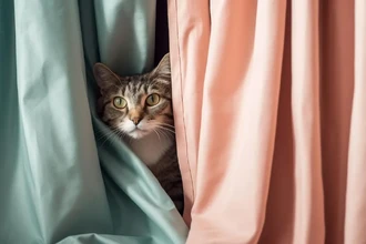 Как отучить кошку царапать и лазать по шторам: 12 рабочих способов