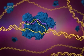 CRISPR-Cas9 против анемии: генная терапия на пороге клиник