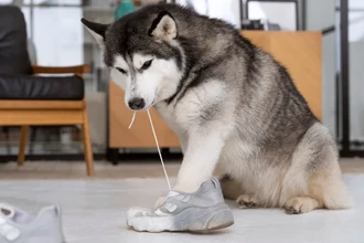 Как отбелить шнурки от кроссовок дома: 11 простых способов для идеальной белизны