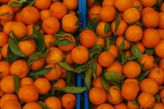 Как выбрать вкусные мандарины: гайд по сортам, проверке и хранению