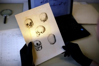 Генетики нашли потомков: как ДНК вернуло имена черепам, украденным из Африки