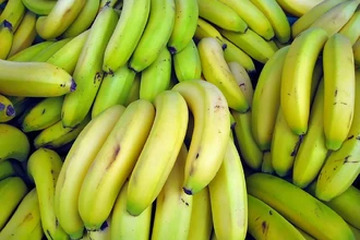 Грибок угрожает бананам: популярный сорт Кавендиш может исчезнуть