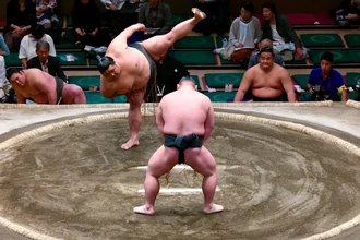 В Японии для борцов сумо заказали спецрейс из-за их веса