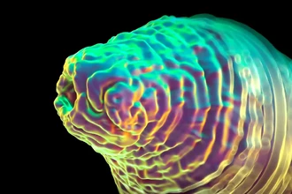 Учёные: у червей обнаружены примитивные эмоции после стресса