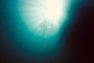 Новый вирус обнаружен на дне Марианской впадины: подробности уникальной находки