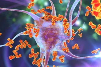 «Обратная вакцина»: как заставить иммунитет забыть о своей атаке