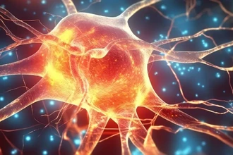 Найден общий генетический щит от болезней Паркинсона и Альцгеймера