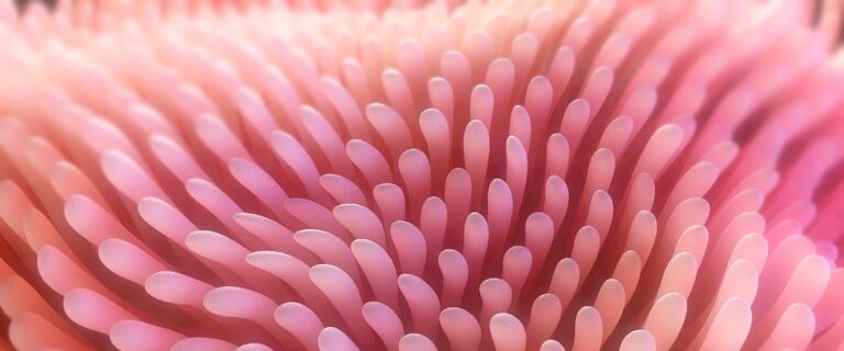 0f92c9a8-b325-4ed9-b59f-d877657e4a85