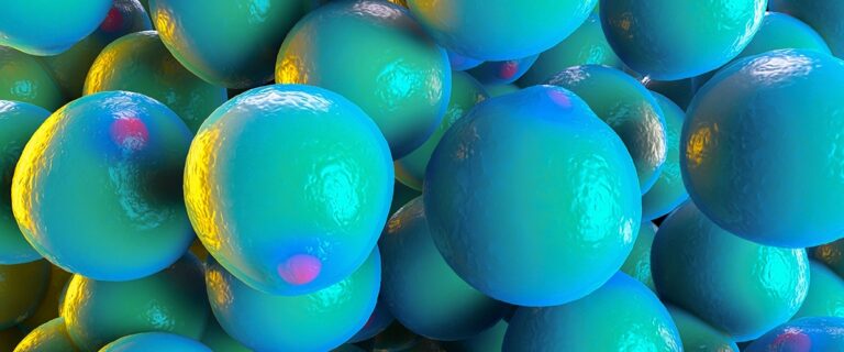 5e3b9089-a2a2-4313-833a-4e58f5c42738