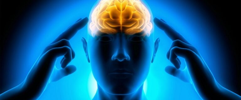 825e7364-0b42-406b-87e1-c310042a5ab8