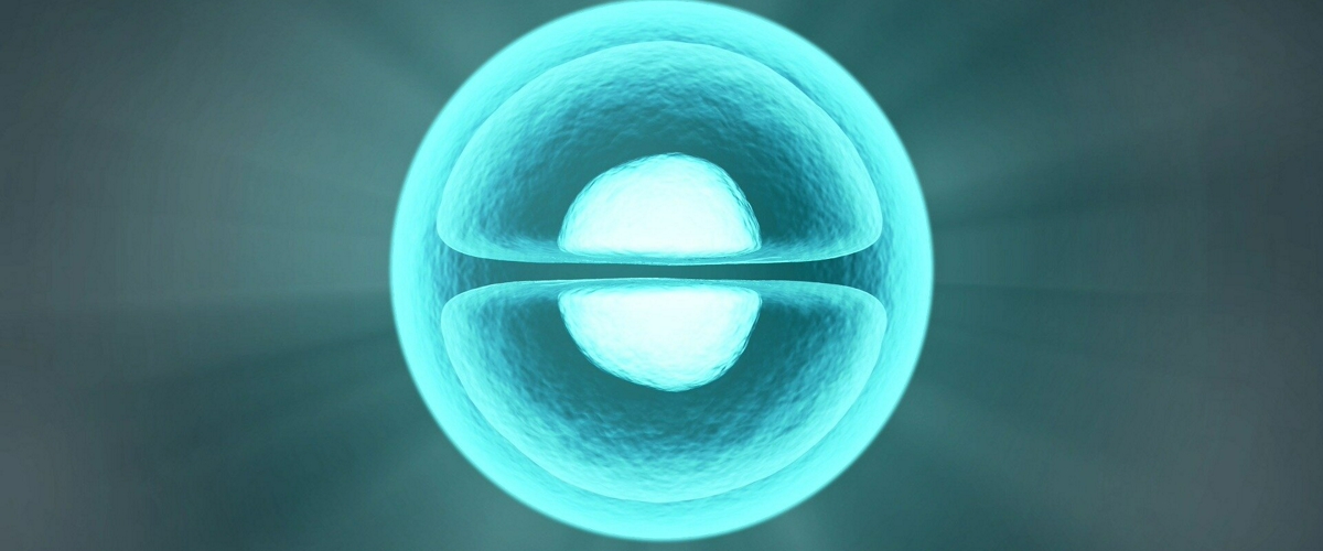 c93ba31a-6cfd-4c0b-bef9-fad303c66e19