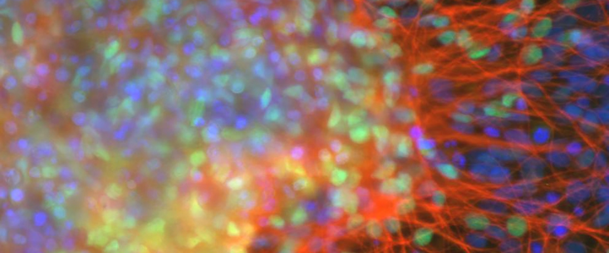 22f13acf-2295-4e7a-984e-6ef34981cc96