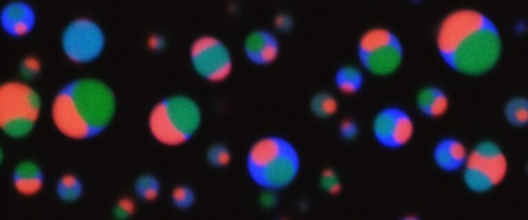 2bdf271b-1913-44e4-b020-a05bcf253f17
