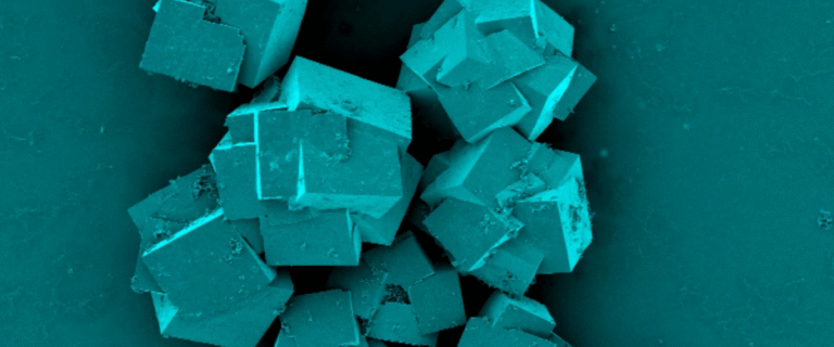 1e9ce7e5-e9af-4fdd-85d0-3f531e6370cb
