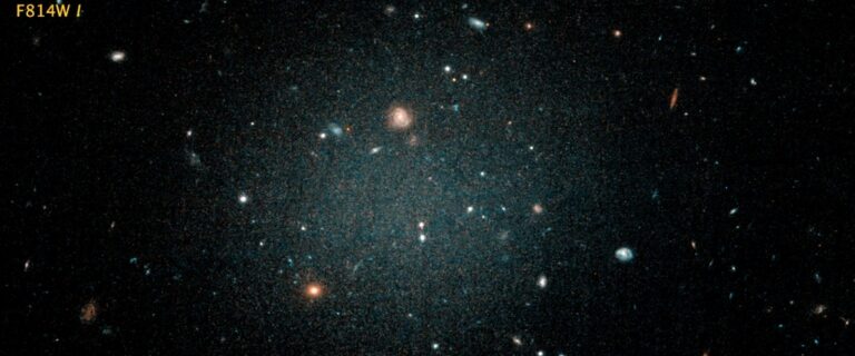 43fff8b8-ceeb-4c56-8678-b4a3cda57654