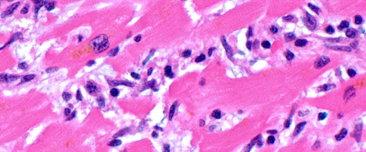 ab44dbe2-e4ef-49f2-b13f-c8731f00be87