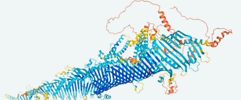 df80bcaa-24a8-4480-8bf3-cf55765014ff