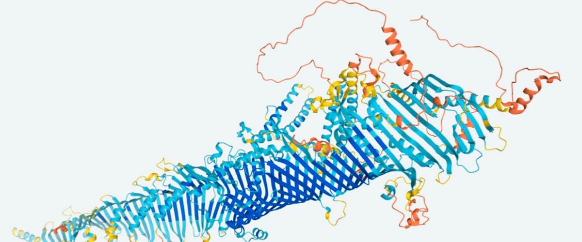 df80bcaa-24a8-4480-8bf3-cf55765014ff