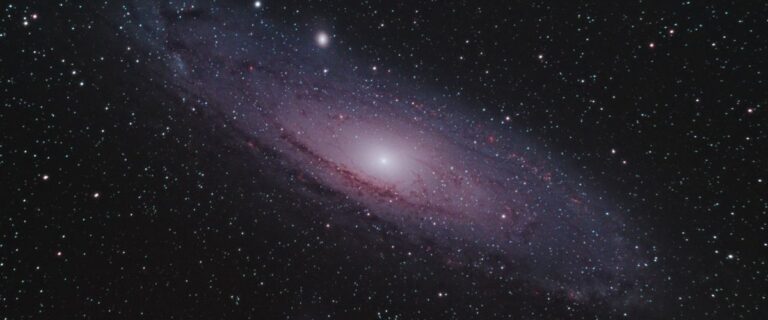c73b51ed-557b-4c21-921e-ceac0447e70b