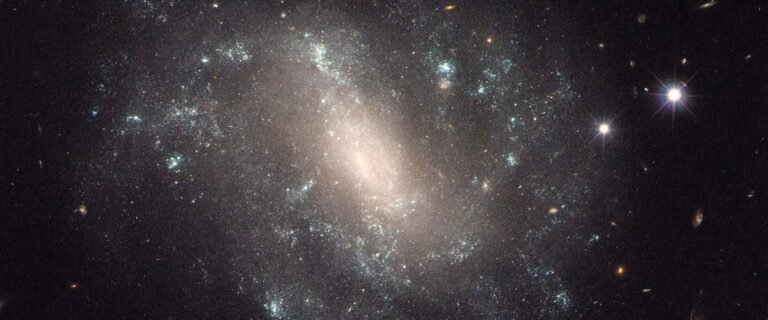 115c962f-414b-4d9e-b69b-920e43d050a8