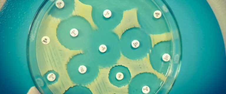 0c72d638-39ab-40ca-85b8-04c533e5cdc0