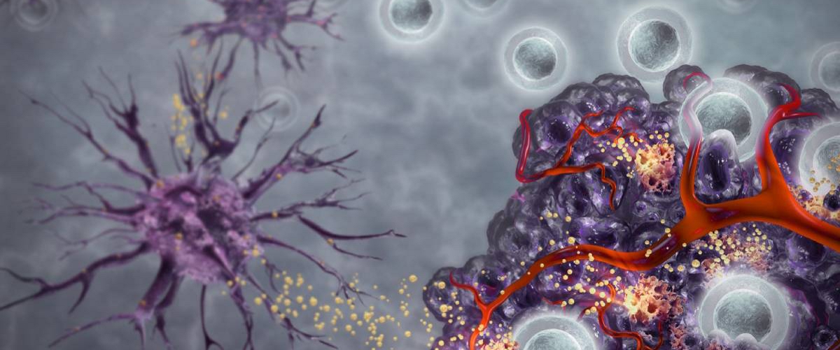 892121ca-912b-4f84-abf9-e28adf53f714