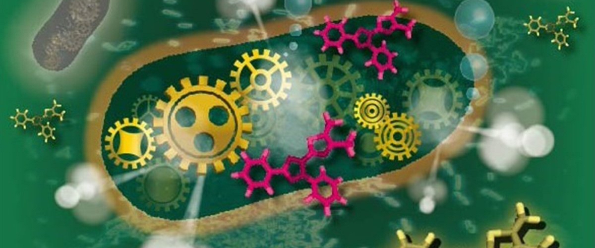 6686a2d2-8991-4f43-b17f-5caf588d519b