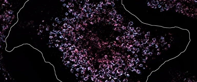7a05e3d6-40ca-41f3-a054-b8e5df202ca7