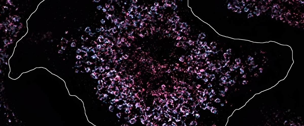 7a05e3d6-40ca-41f3-a054-b8e5df202ca7