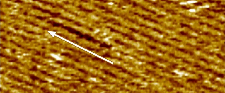 c3487da7-237e-459c-9134-bc6b84bd14b8