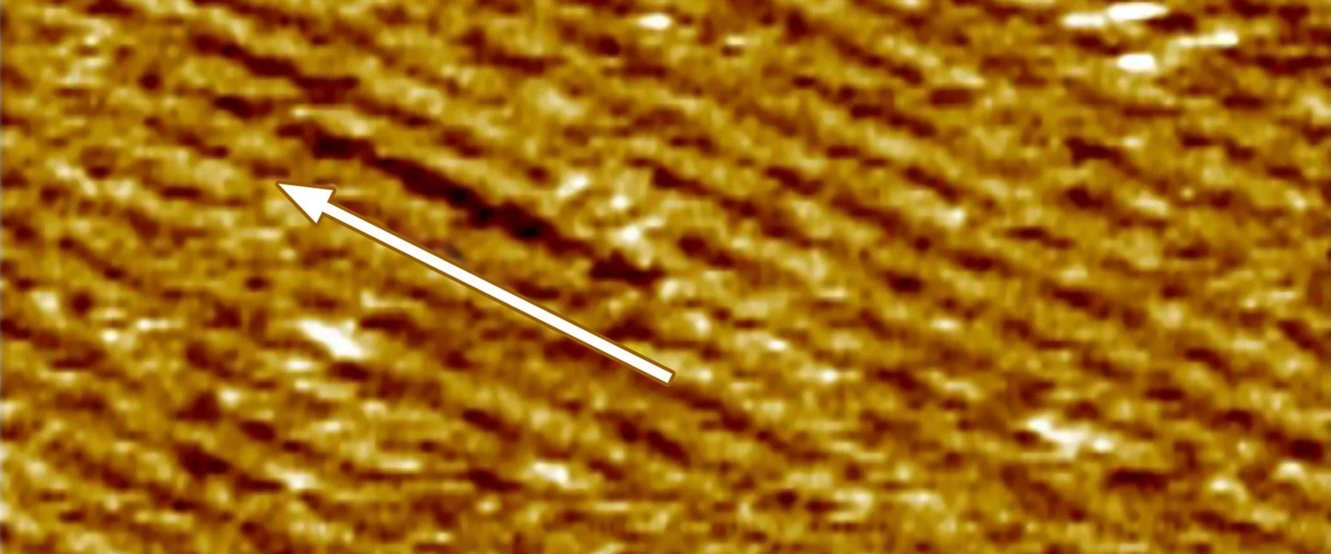 c3487da7-237e-459c-9134-bc6b84bd14b8