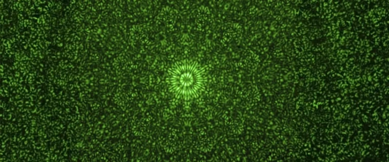 7c4745a4-19fa-4f54-b038-29574536ac58