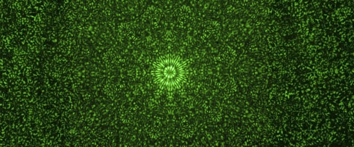 7c4745a4-19fa-4f54-b038-29574536ac58