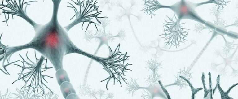 a53607a2-3ac4-472e-8ae1-32bc47e4224e